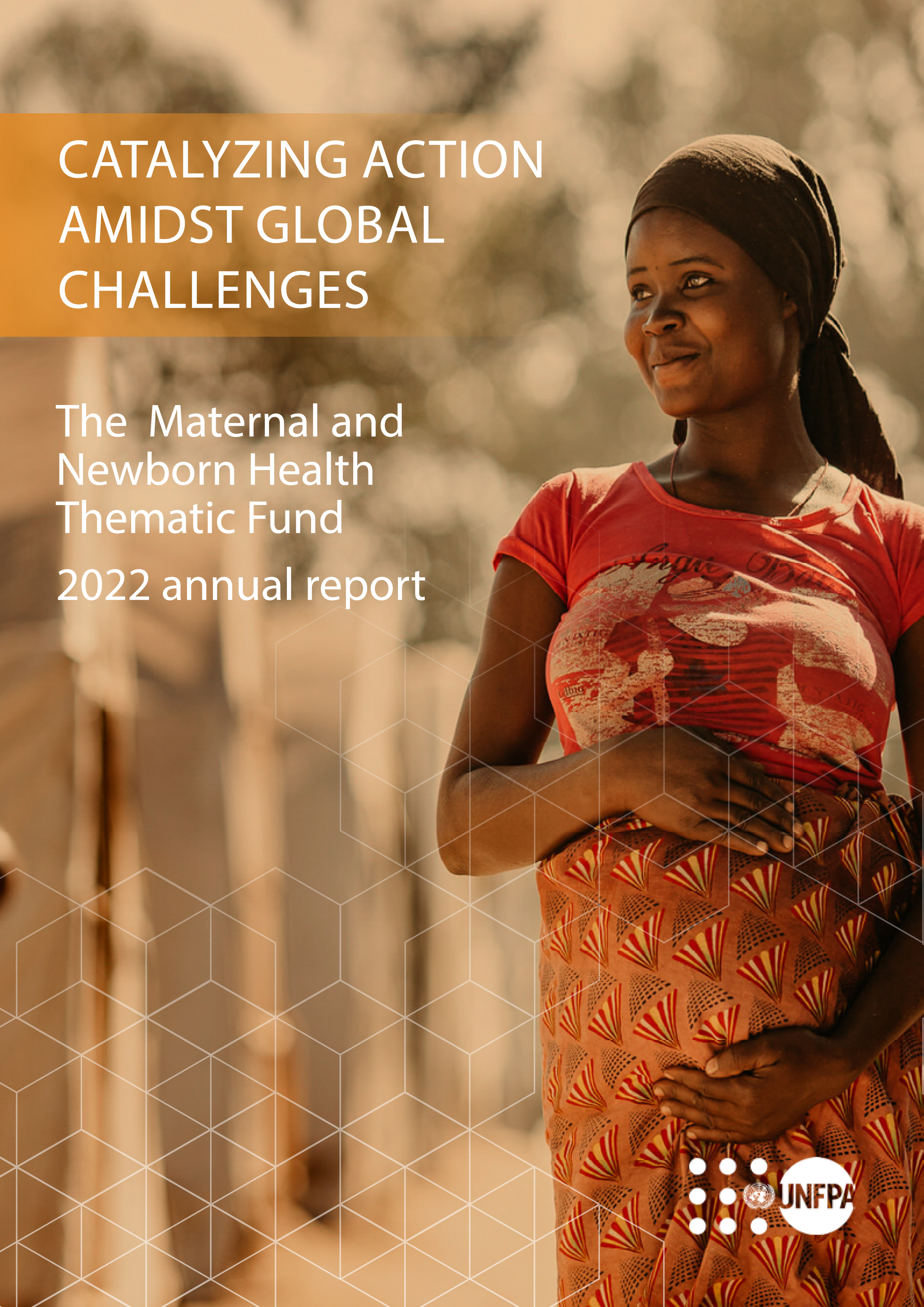 image of The Maternal and Newborn Health Thematic Fund: 2022 Annual Report