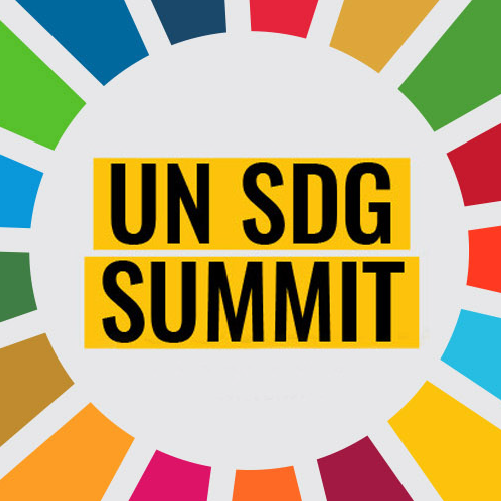 image of SDG Summit