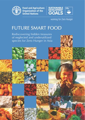 image of Challenges, opportunities and strategies for neglected and underutilized species as future smart food for zero hunger