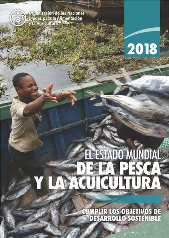 image of El estado mundial de la pesca y la acuicultura 2018