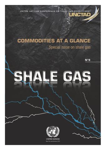 image of The development of shale gas production in the united states