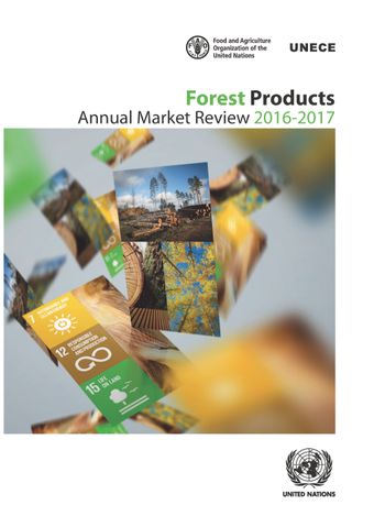 image of Forest Products Annual Market Review 2016-2017
