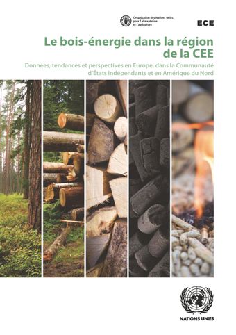 image of Le bois-énergie dans la région de la CEE