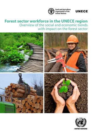 image of Forest Sector Workforce in the UNECE Region