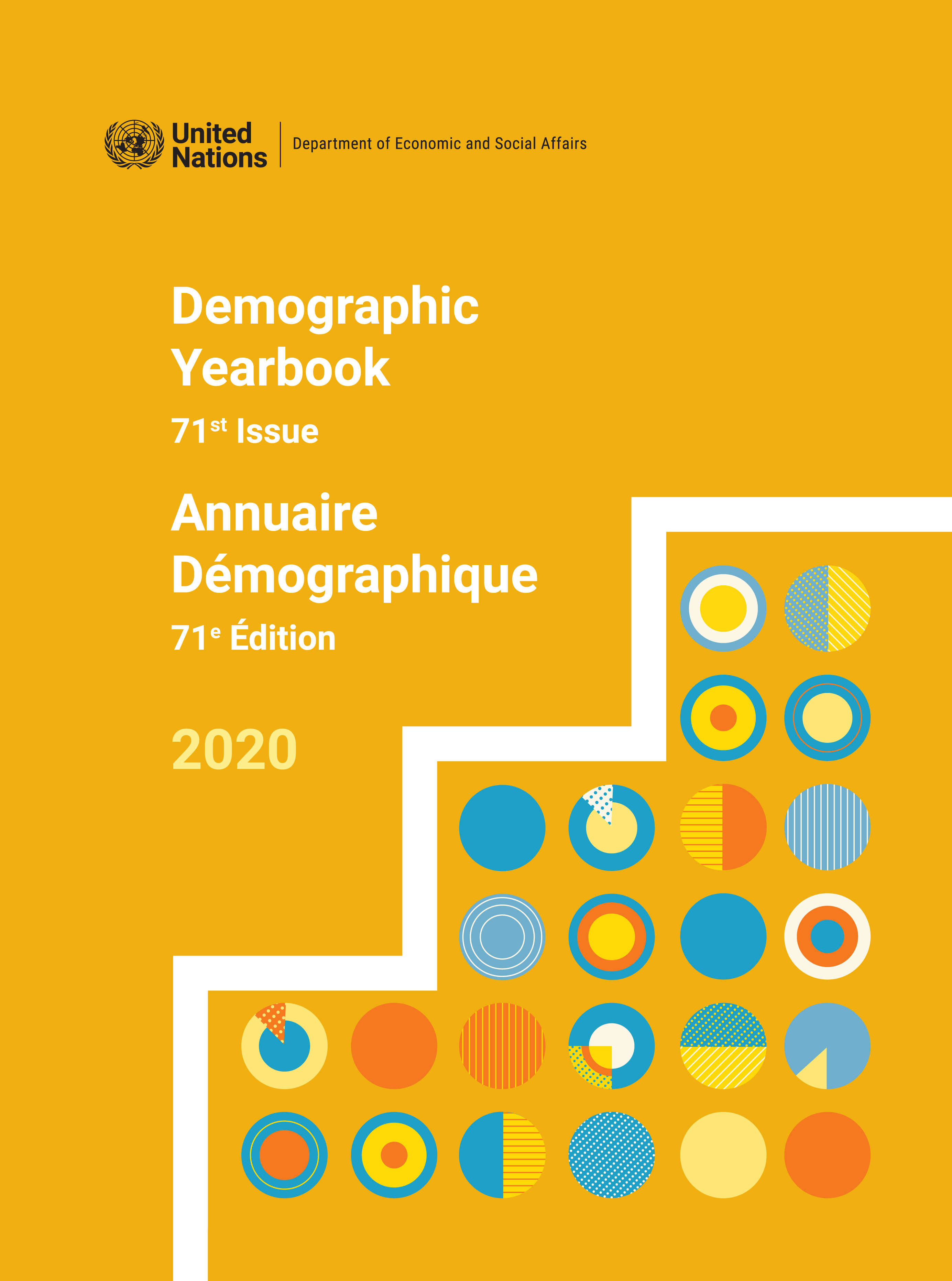 image of United Nations Demographic Yearbook 2020