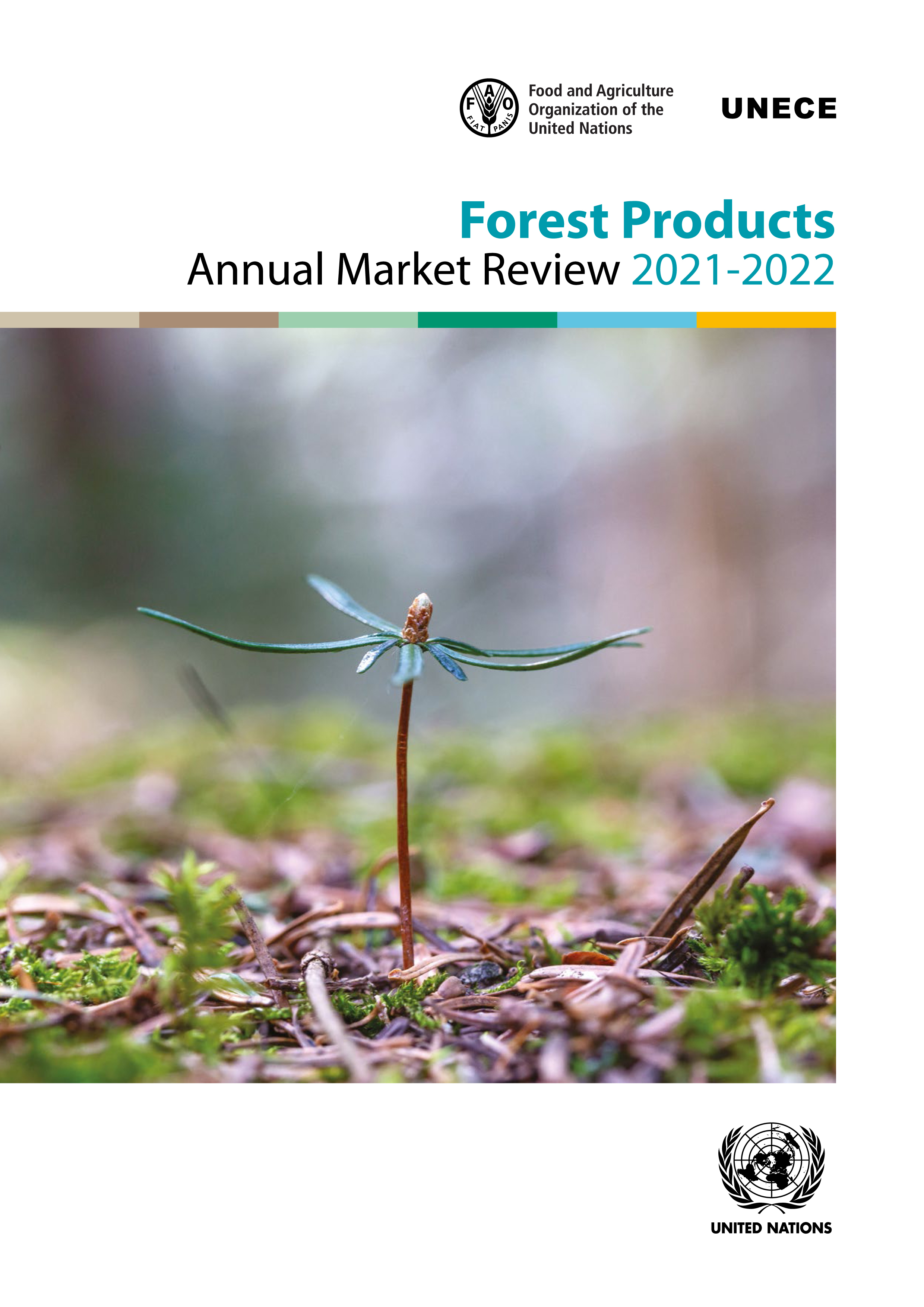 image of Forest Products Annual Market Review 2021-2022