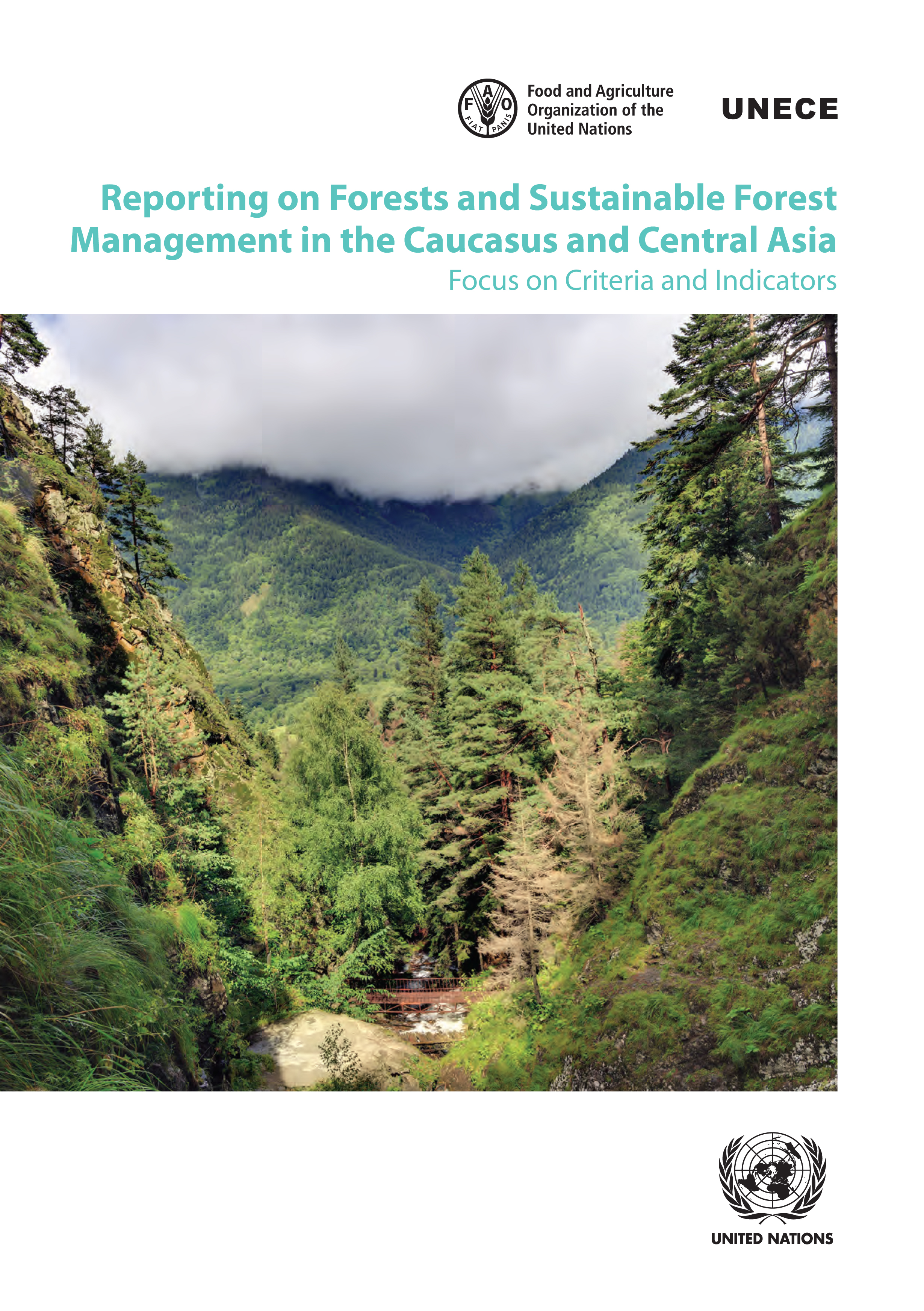image of Reporting on Forests and Sustainable Forest Management in the Caucasus and Central Asia