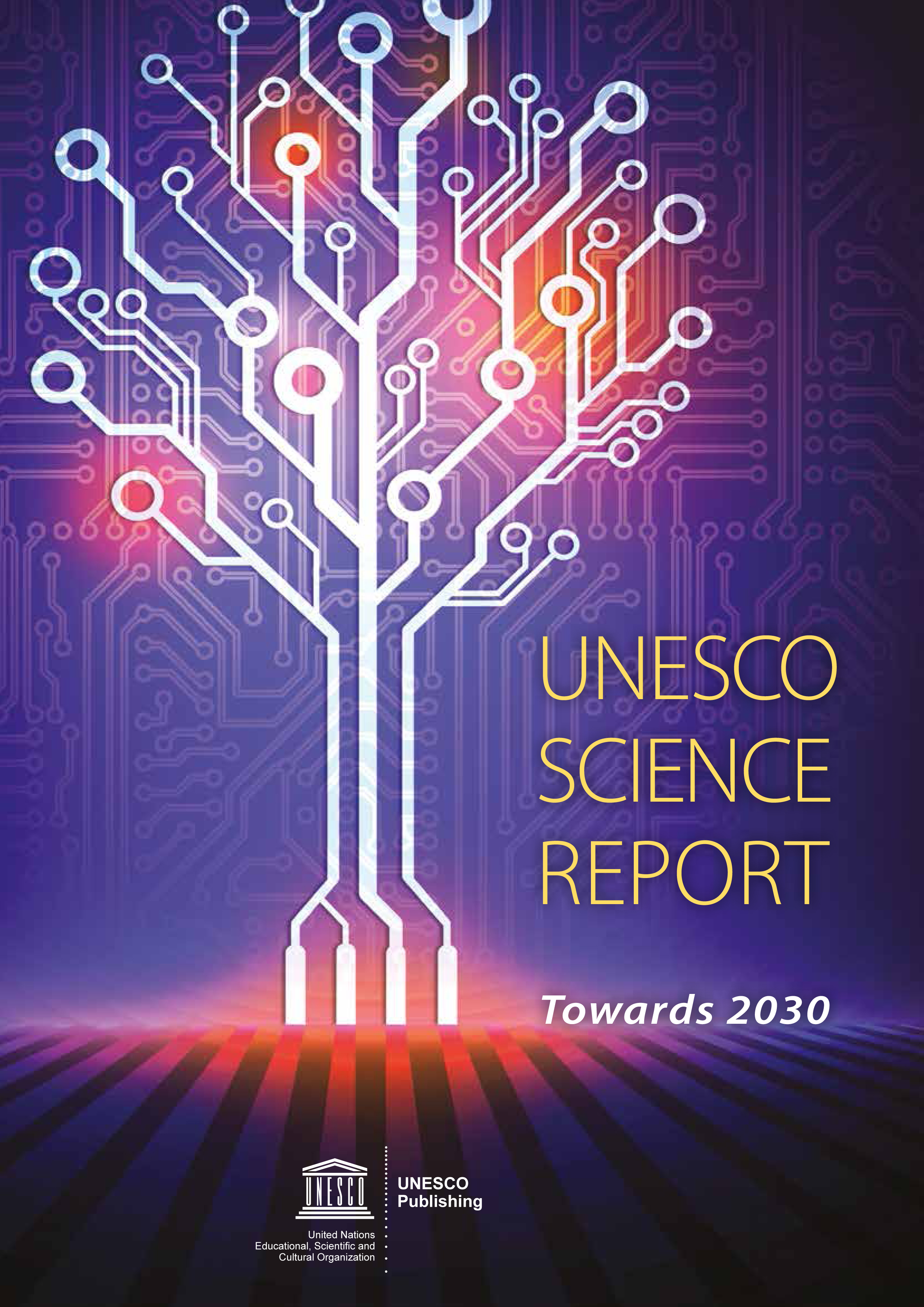 image of UNESCO Science Report 2015