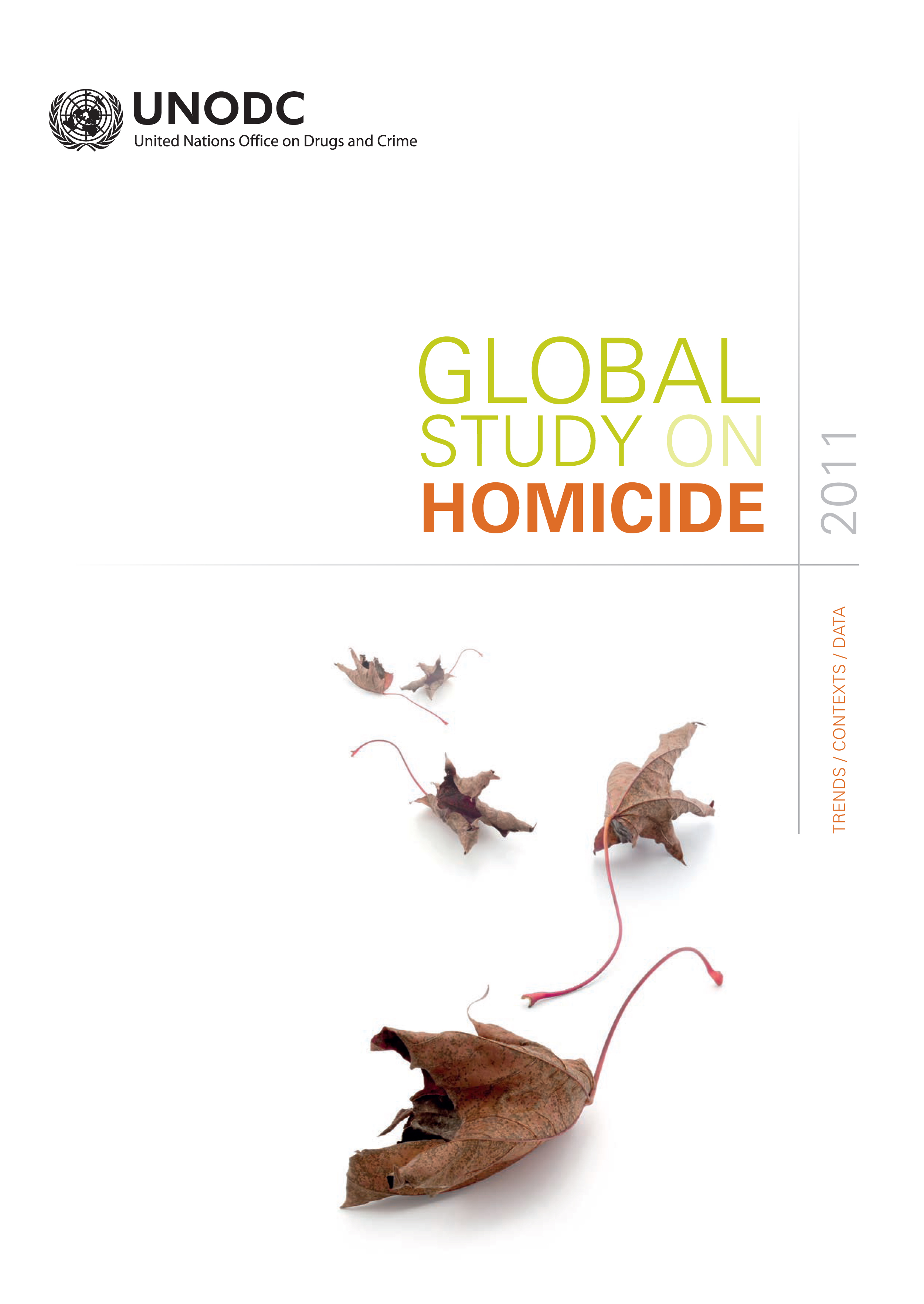 image of Global Study on Homicide 2011