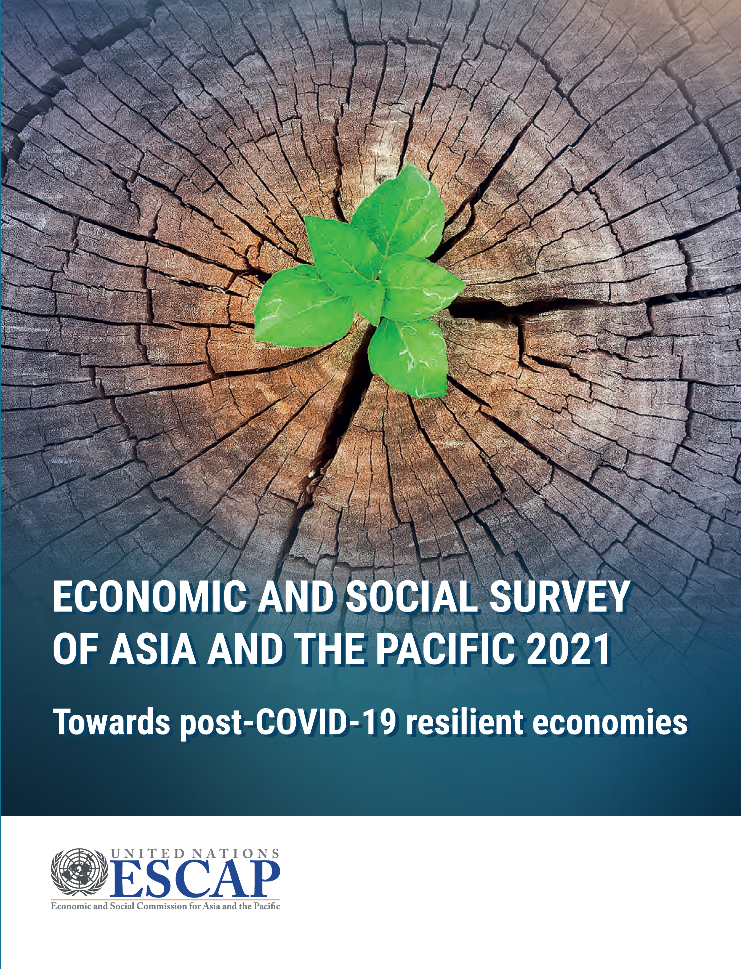 image of Economic and Social Survey of Asia and the Pacific 2021