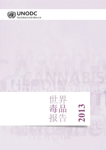 image of 世界毒品报告 2013
